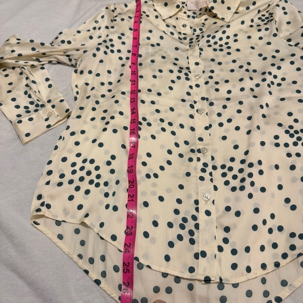 Francesca’s Audrey Parks Satin Button Down Blouse in Cream & Forest Green - Picture 6 of 9